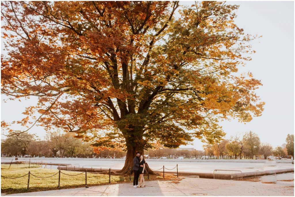 bride and groom pose under tree during fall Capitol Hill engagement session