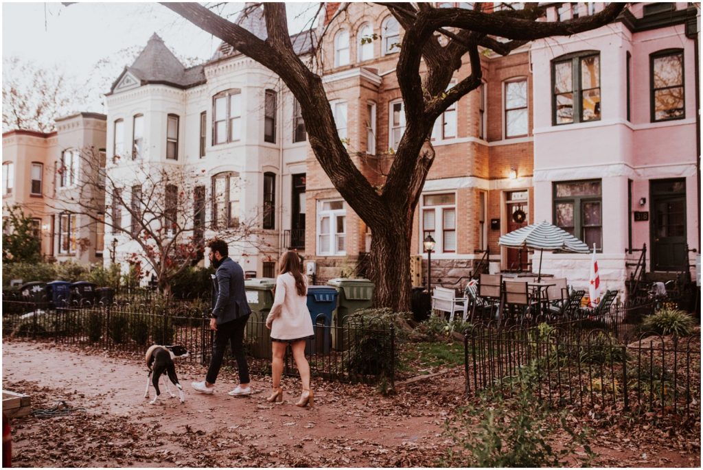 Washington DC engagement portraits with dog