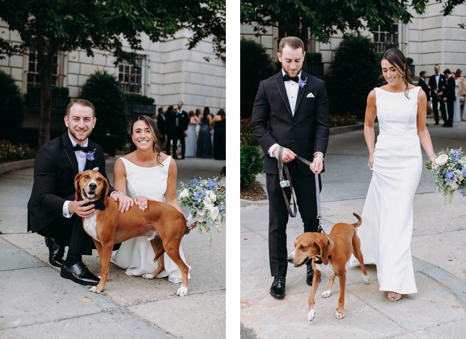 bride and groom with dog