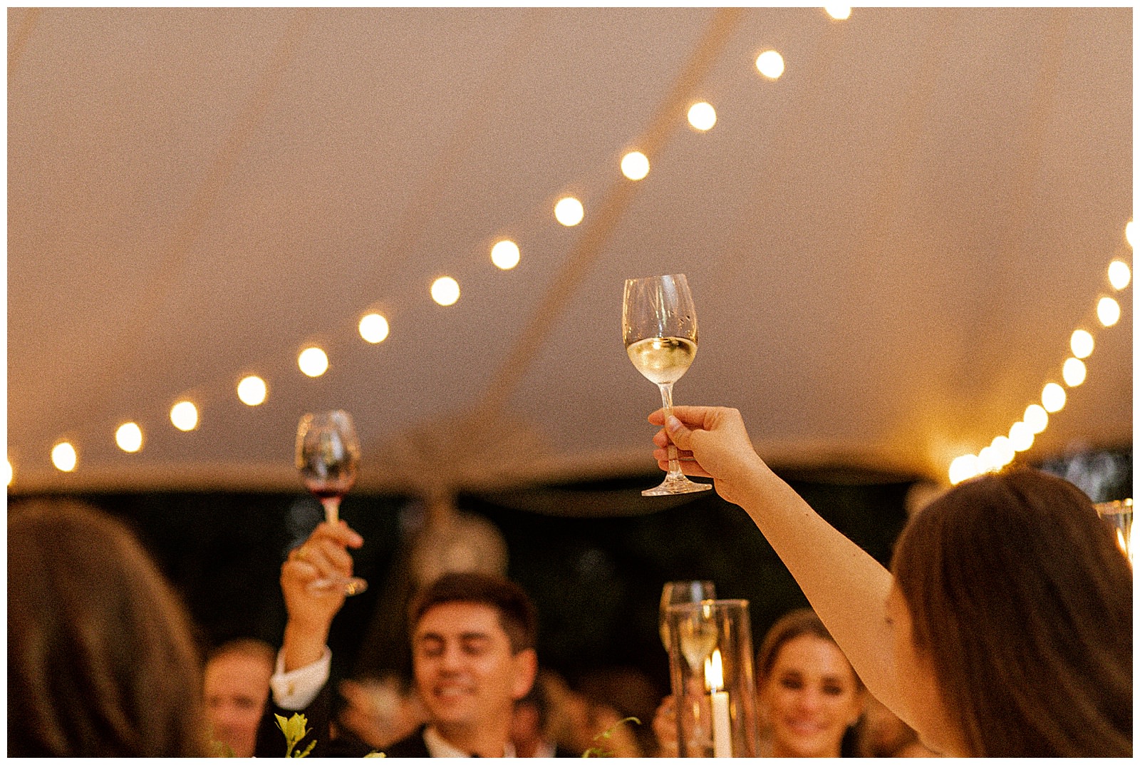 wedding guests raise a glass to a toast