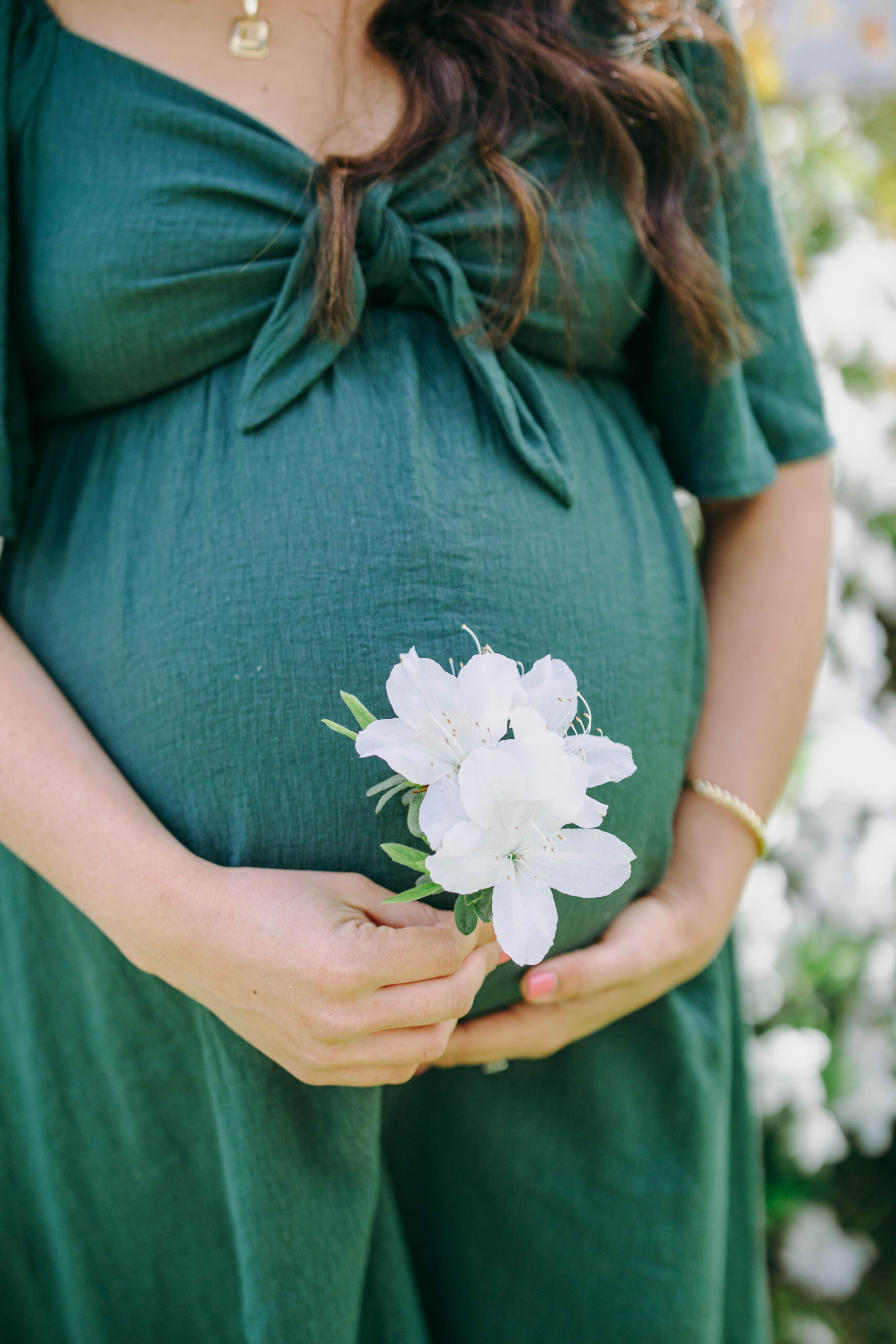 maternity photo of mother's belly and flowers