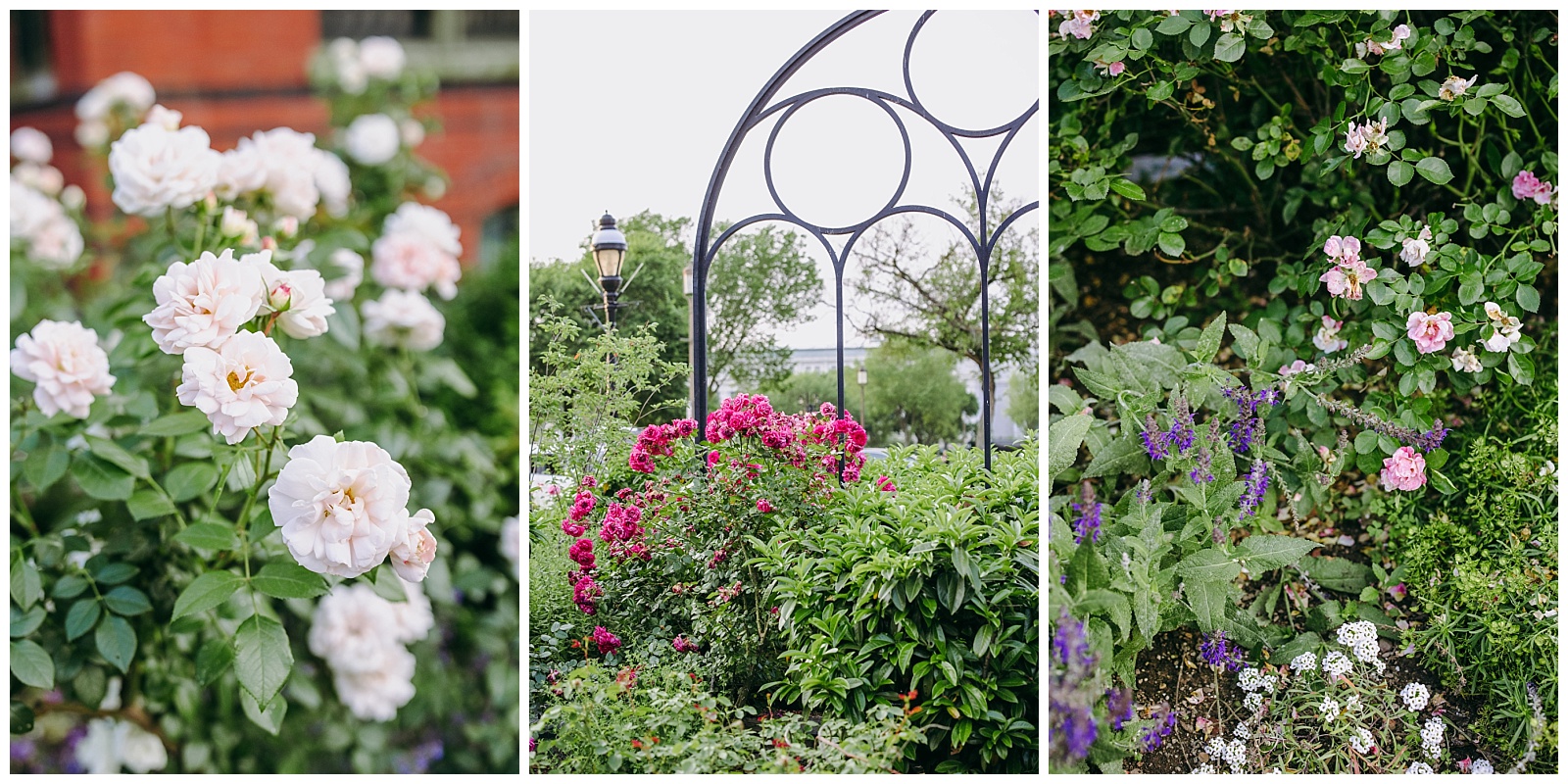 Enid A. Haupt Garden photos