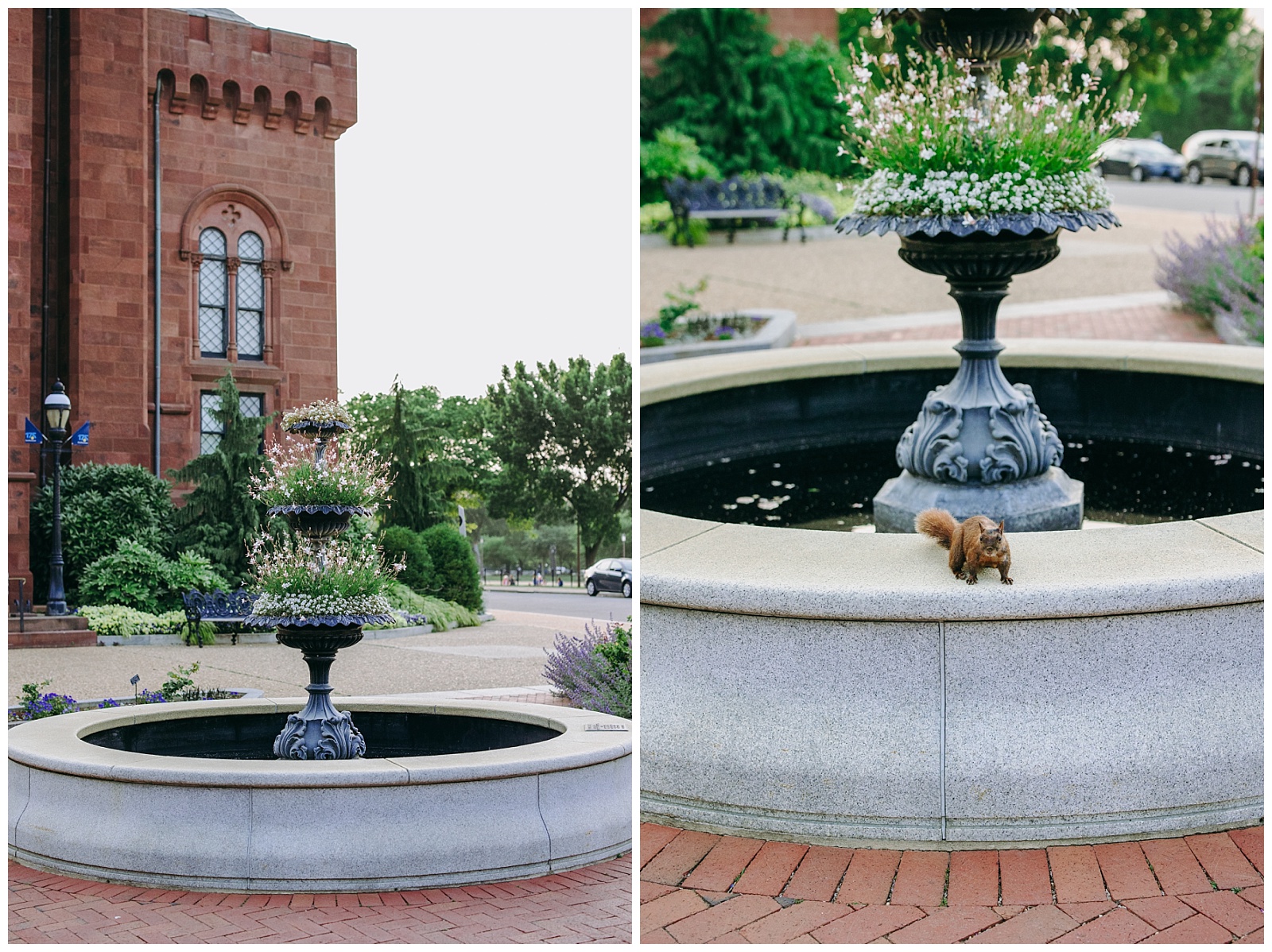 Enid A. Haupt Garden photos