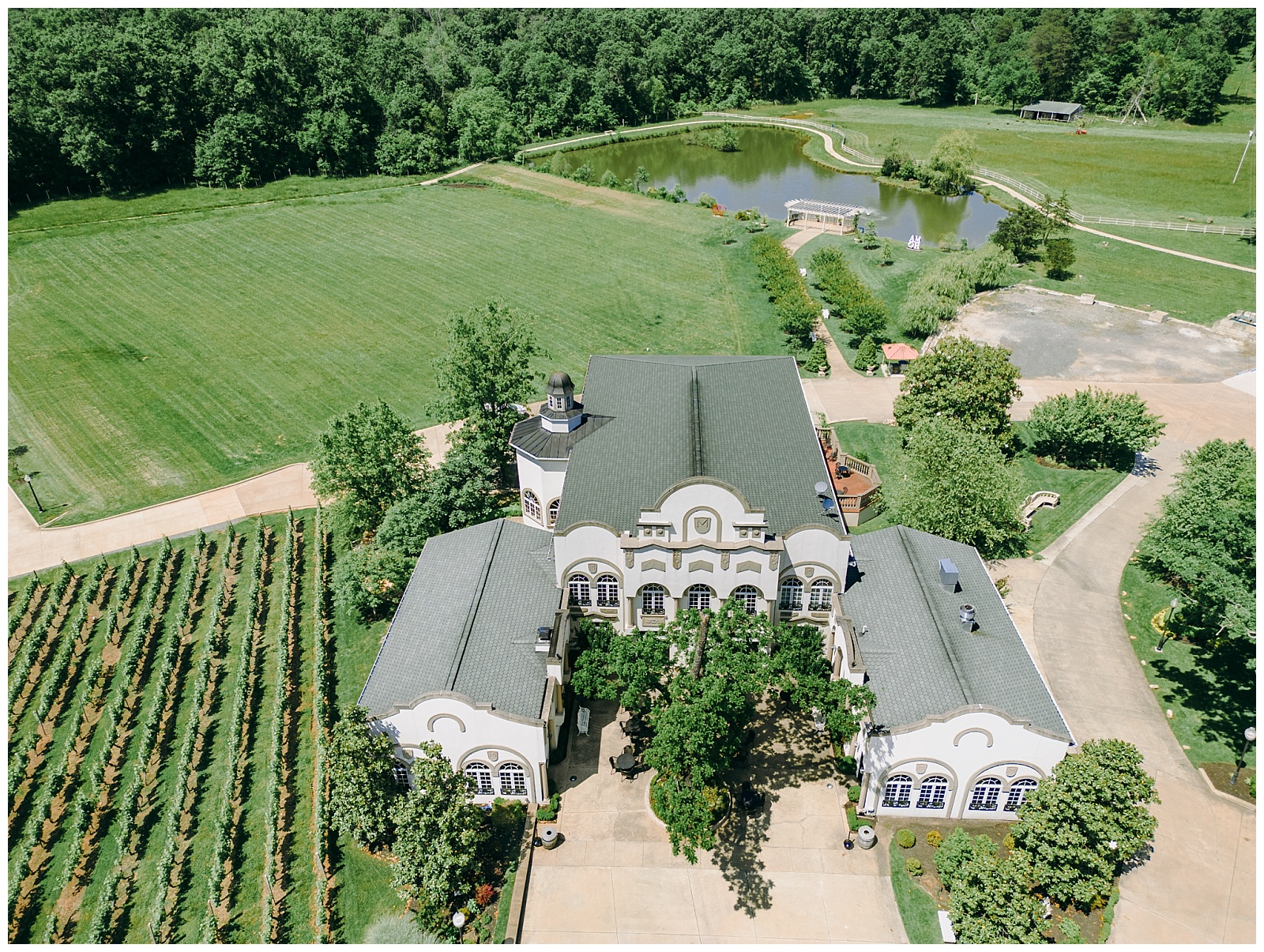 drone photos in Morais Vineyard