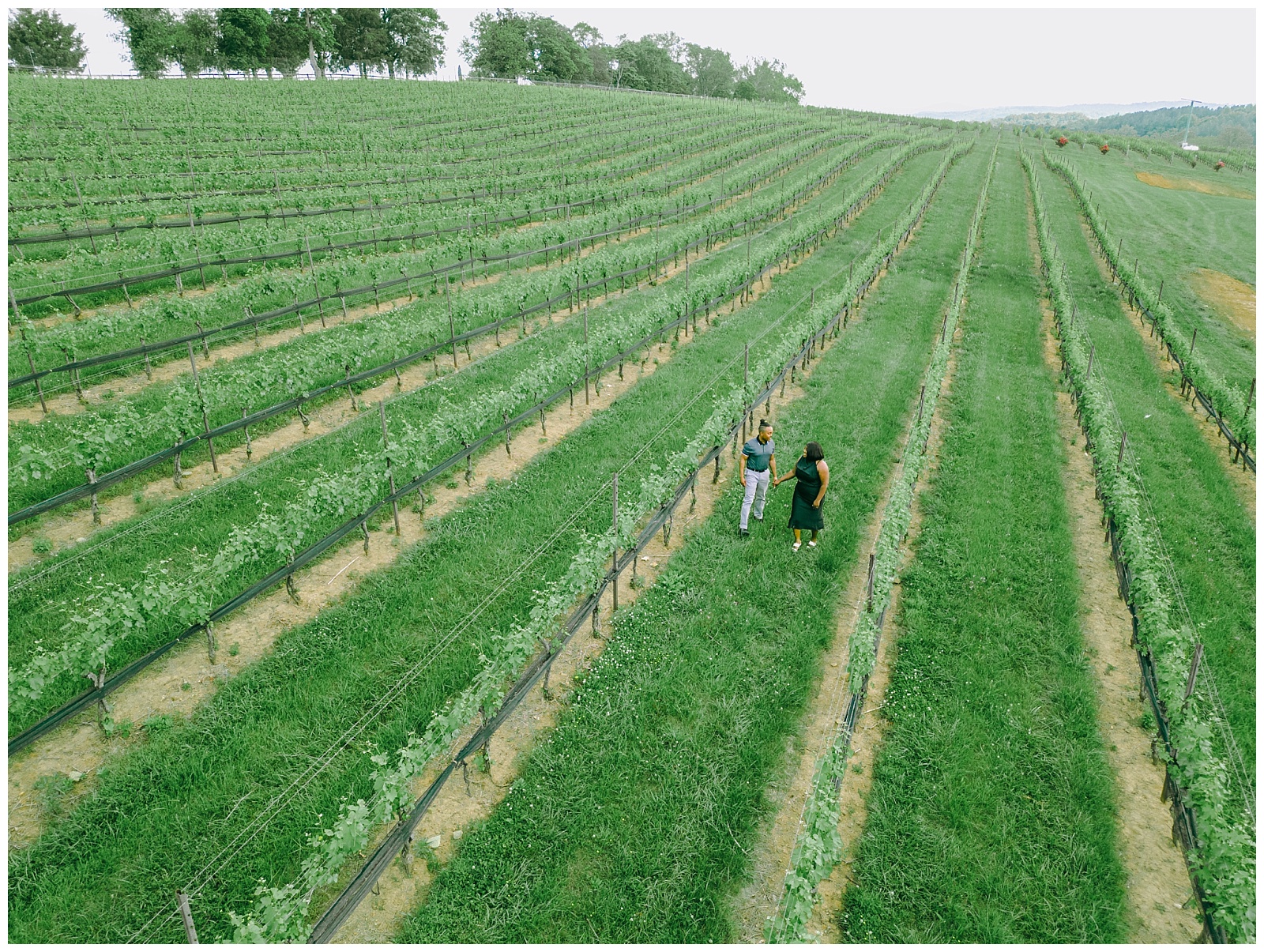 winery engagement photos at Stone Tower Winery